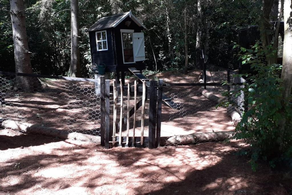 Comfortable Chalet In A Unique Location In Forest Essen Екстериор снимка
